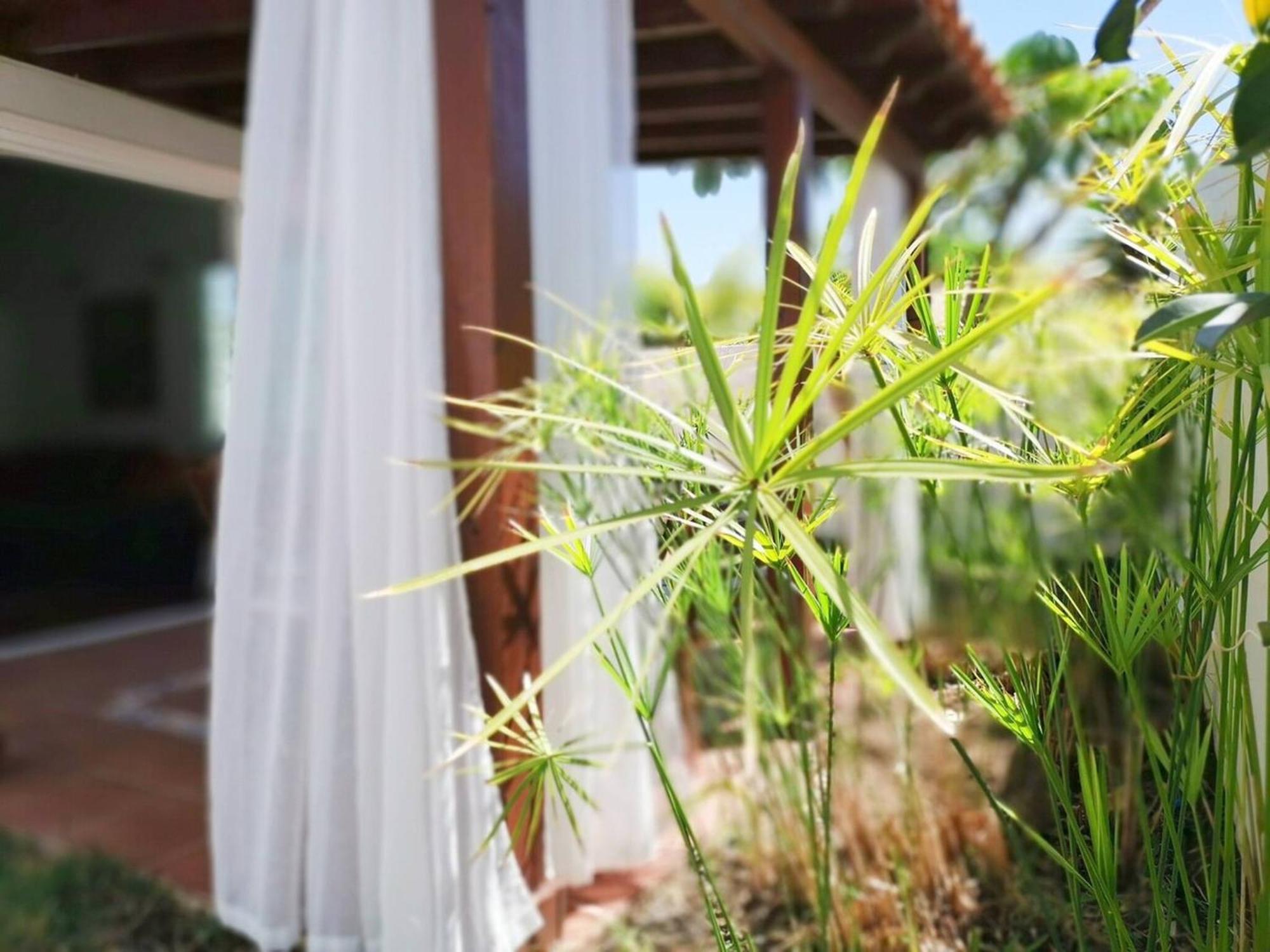 Los Porches D40 By Pride Holiday Rentals San Bartolomé Εξωτερικό φωτογραφία